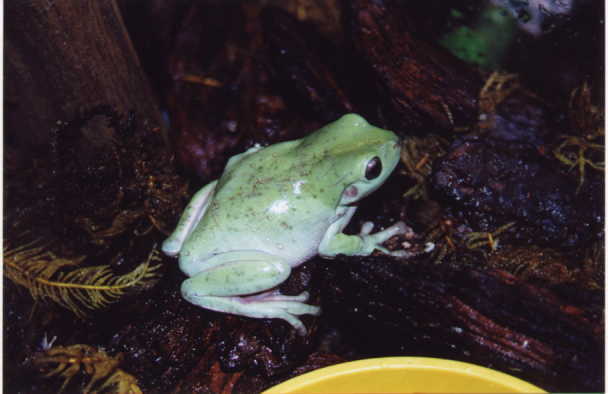 Jeremiah 1.JPG (23684 bytes)