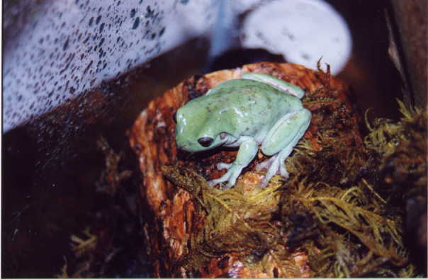 Jeremiah 3.JPG (29942 bytes)